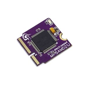 MicroMod SamD21J