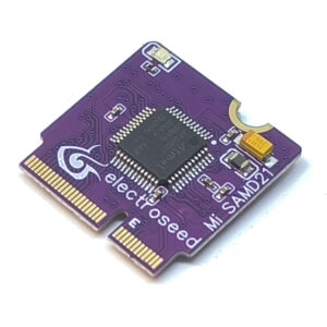 MicroMod SamD21