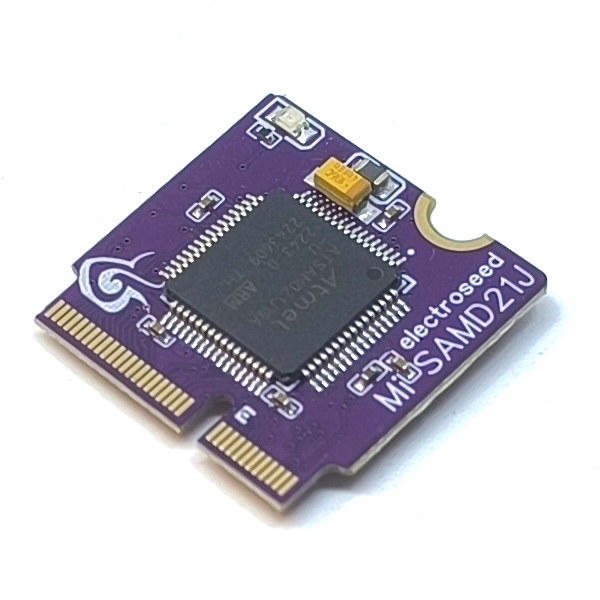 MicroMod SamD21J