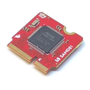 MicroMod SamD51