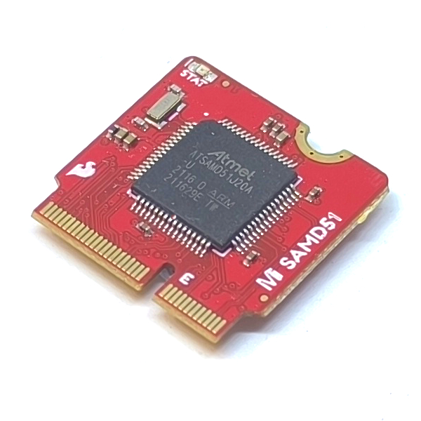 MicroMod SamD51